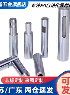 SFJZ SSFJZ PSFJZ PSSFJZ8 10 12 15 16 20 25 30导向轴