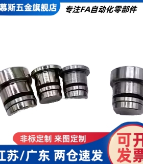 直线导轨用定位销 偏心销LLT3.5 LLT5 LLTS5 ICE11-T5不锈钢LLTA5