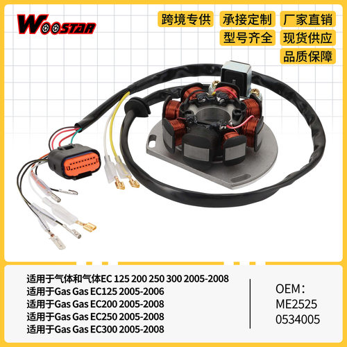 点火线圈定子GasEC125EC200EC250EC12520025030005-08