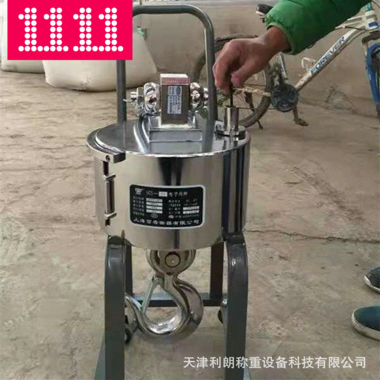 天津供应无线带打印3吨吊秤 电子吊钩称 悬挂式吊秤