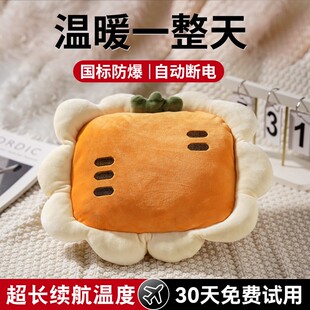 万宝绿毛绒充电热水袋冬季期间可爱暖手暖脚安全充电款暖水袋