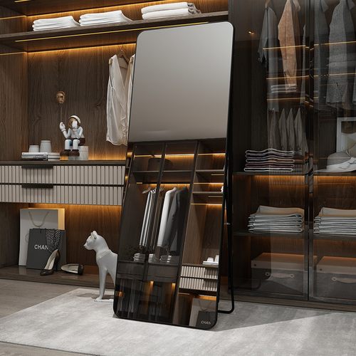 简约轻奢升级铝合金卧室穿衣镜子家用少女全身镜落地镜女生试衣镜
