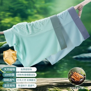 森林氧吧禮盒 10A抗菌夏季 蟲(chóng)草養(yǎng)護(hù) 冰絲男士 內(nèi)褲 歐若風(fēng)