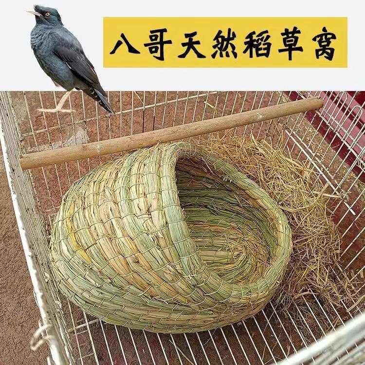 八哥天然稻草窝冬天保暖鹩哥专用鸟窝鸟巢用品拖鞋形八哥鸟燕子,宠物/宠物食品及用品,鸟窝,淘宝优惠券,粉丝福利购,淘宝优惠卷