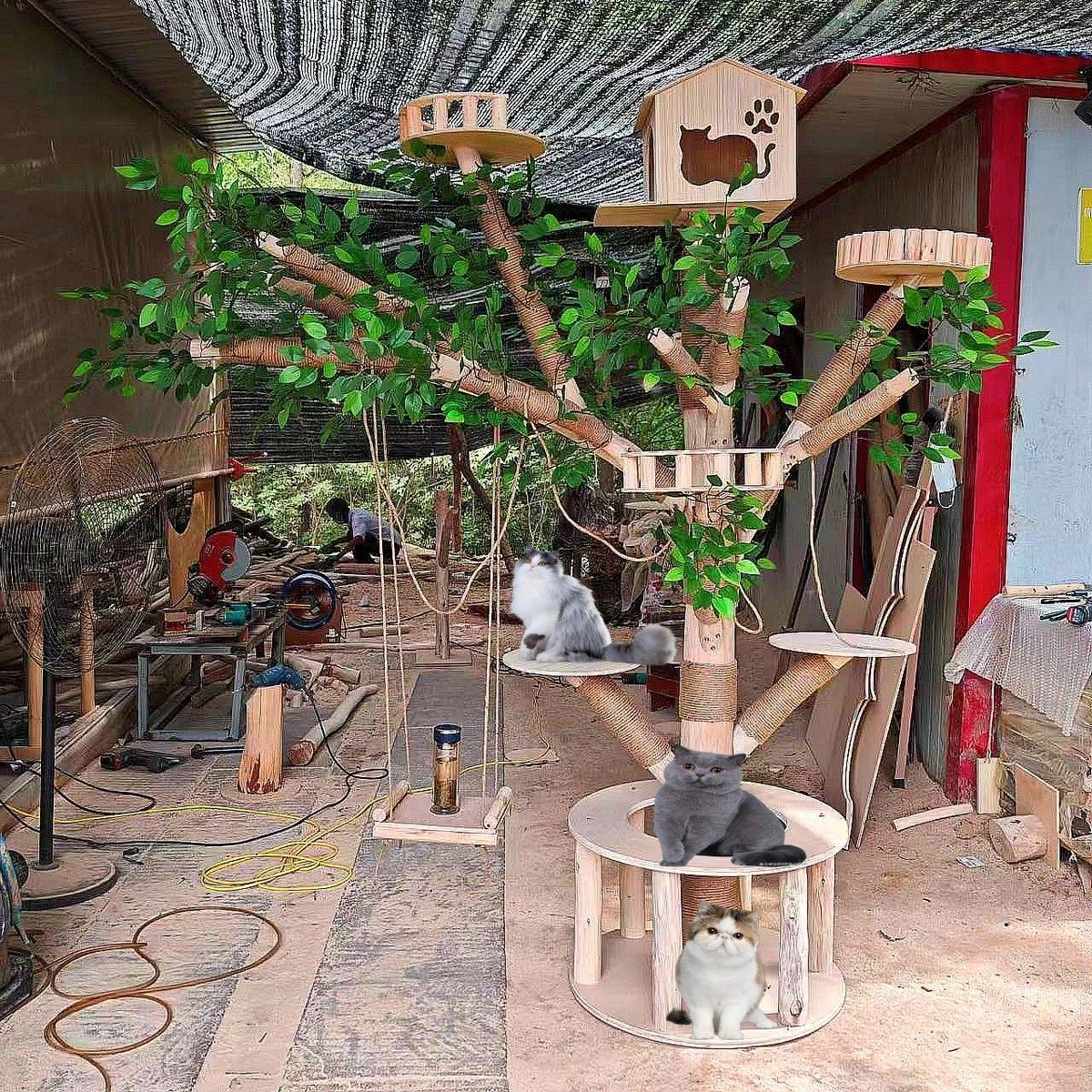 大树猫爬架实木窝树一体抓柱大型通天柱加大太空舱