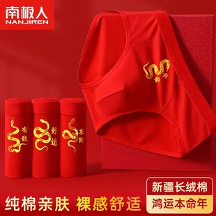 南极人高档蛇年本命年大红色男士三角内裤男生男款大童纯棉三角裤