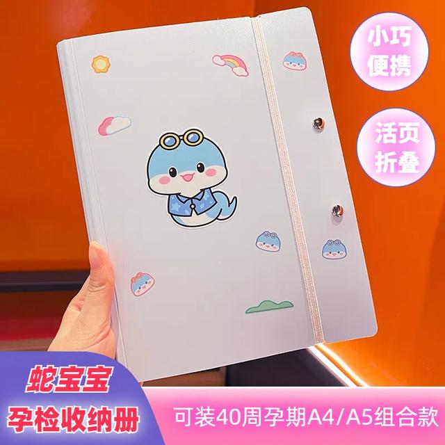 产检收纳册孕妇孕检折叠式A4A5收纳报告单蛇宝宝孕妈活页收纳册