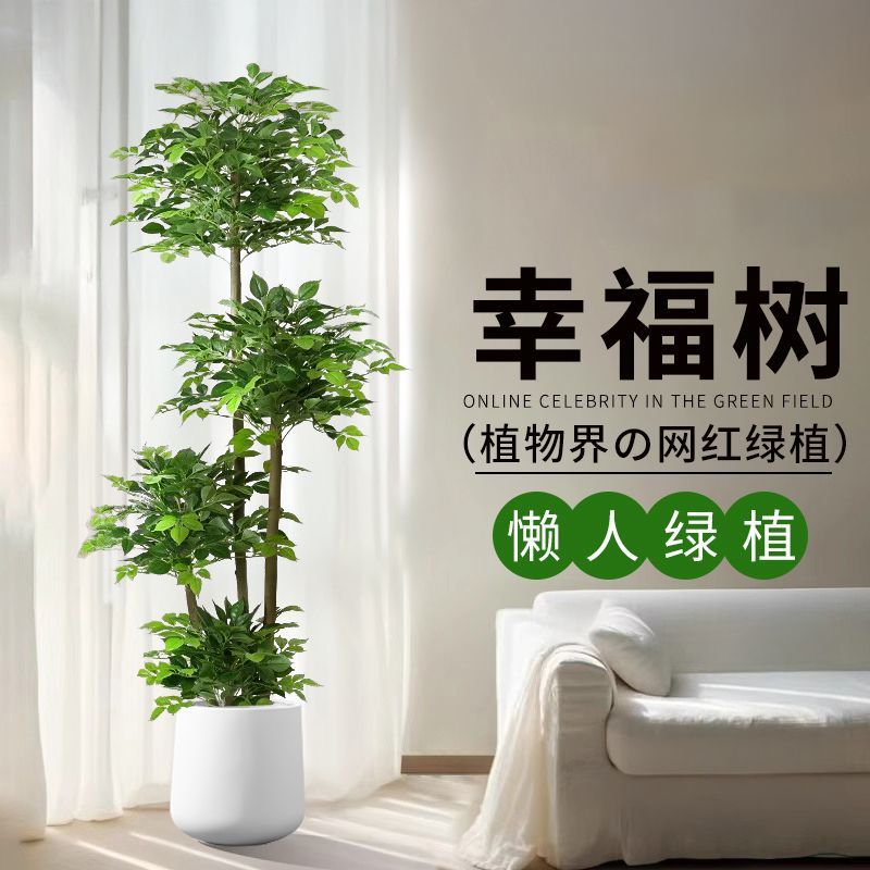 仿真幸福树大盆栽植物绿植客厅大型落地假植物发财树室内家居摆件