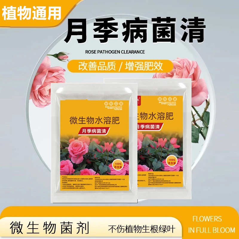月季病菌清黑斑白粉黄叶家庭园艺月季玫瑰通用肥