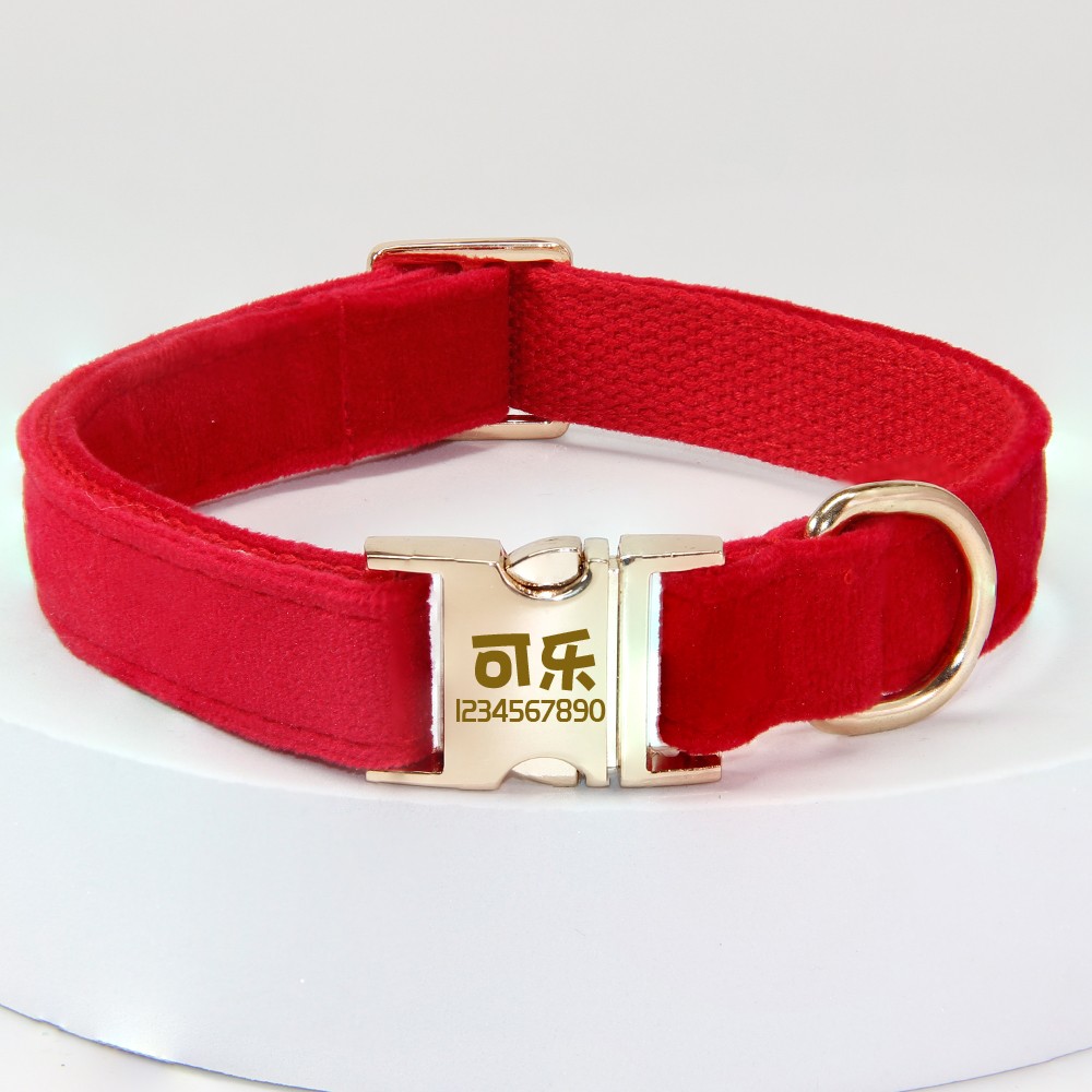 dadugo狗狗刻字项圈泰迪颈圈狗绳刻字防丢牵引绳中大型犬毛绒脖圈