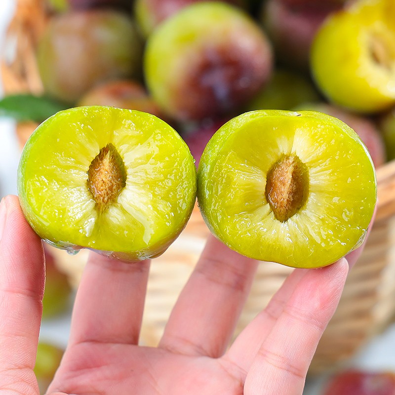 四川阿坝州汶川茂县脆红李脱骨李子脆甜多汁爽口肉厚爽脆新鲜现摘