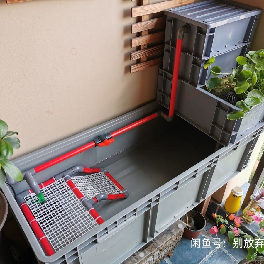鱼缸过滤乌龟缸过滤周转箱过滤沼泽过滤鱼菜共生系统龟箱懒人专用