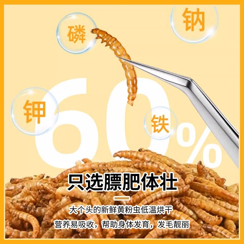 面包虫干八哥鹦鹉芦丁鸡爱吃高蛋白虫干鸟食鸟粮鹌鹑优质桶装喂食,宠物/宠物食品及用品,鸟零食,淘宝优惠券,粉丝福利购,淘宝优惠卷