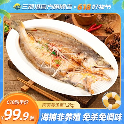 三都港非养殖南美黄鱼鲞1.2kg三去免调味新鲜黄花鱼海鲜自播
