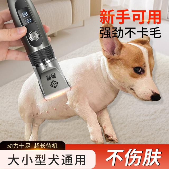 桑鹤宠物剃毛器不卡毛钛金刀头狗狗专用猫咪专用剃脚毛宠物专用轩