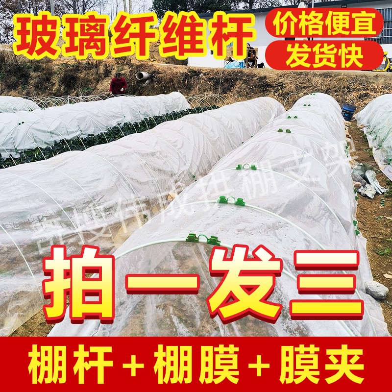【买杆子送膜送膜夹】保温棚育苗棚花棚架子玻璃纤维杆小拱棚支架
