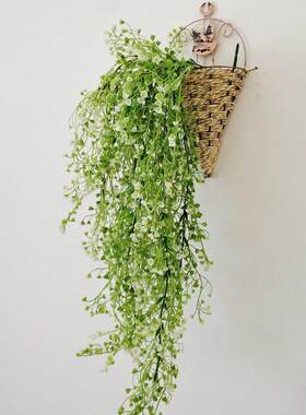 壁挂花盆吊篮挂壁小花盆挂墙玫瑰花藤垂吊墙花挂装饰植物之满