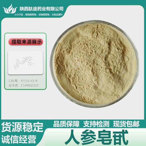 人参皂甙人参提取物水溶人参总皂甙Rg3i|Rh241753-43-9现货