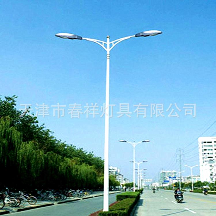 天津春祥灯具直销10米多种规格户外道路双臂灯杆路灯杆