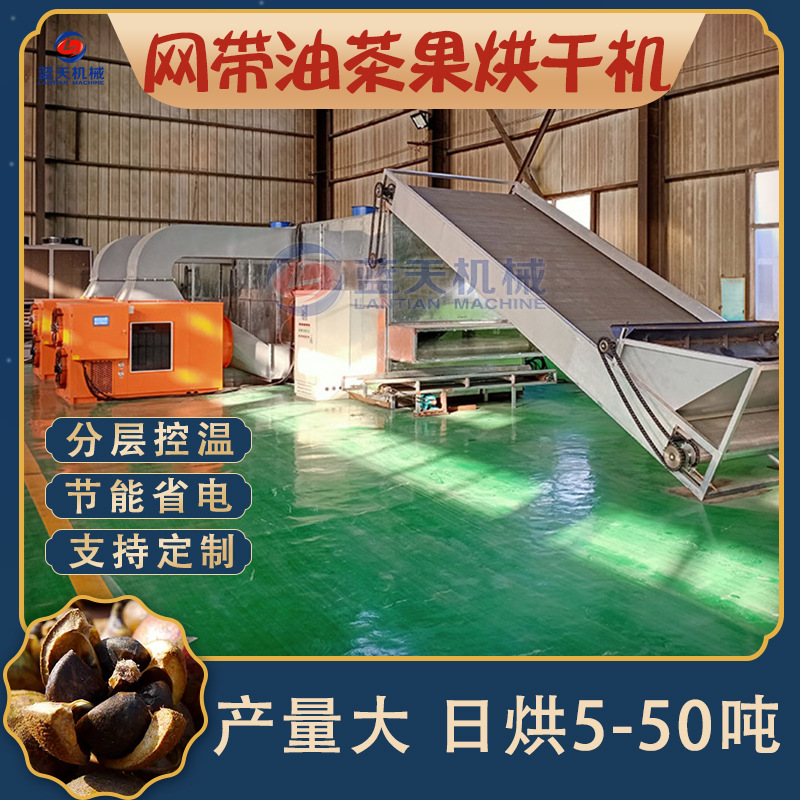 网带油茶果烘干机  大型全自动白花茶幸福果文冠果油茶籽烘干设备