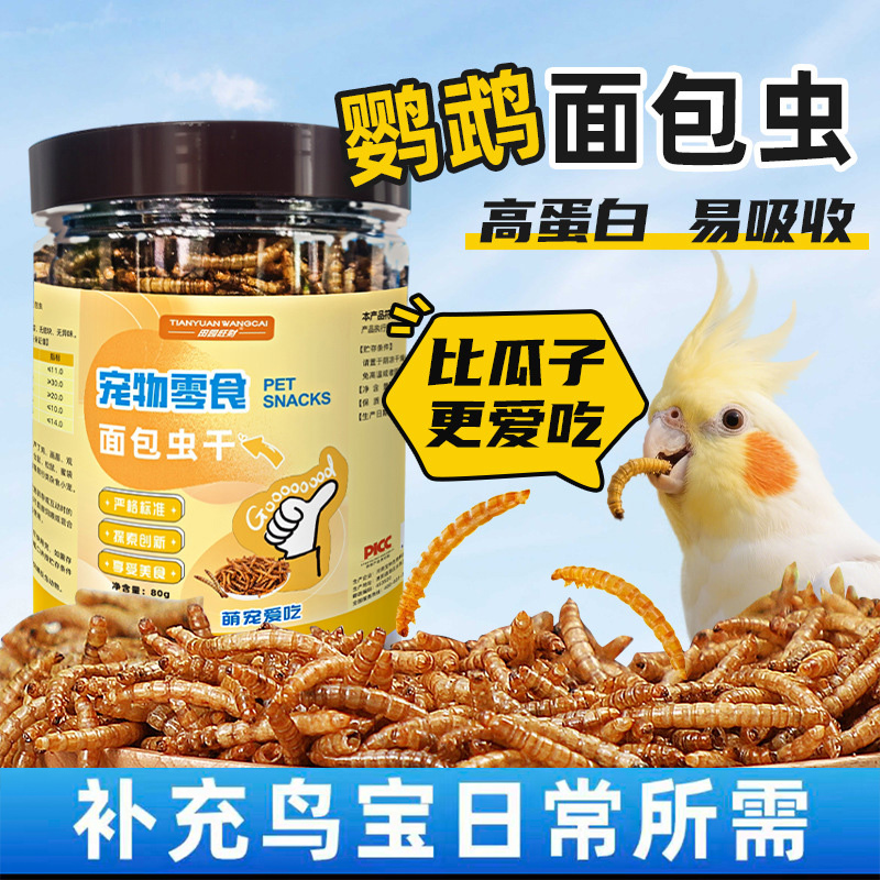 鹦鹉面包虫千黄粉虫干高蛋白
