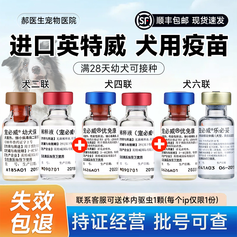 进口英特威四联狂犬疫苗