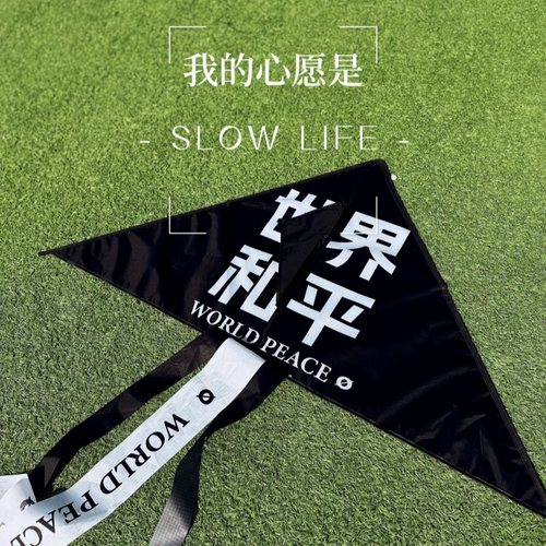 【小红书】世界和平风筝2025新款