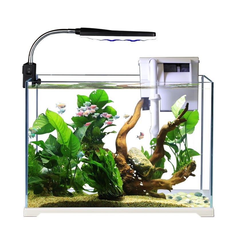森森鱼缸小型高清超白玻璃水族箱客厅生态玻璃金鱼缸乌龟缸造景,宠物/宠物食品及用品,桌面缸,淘宝优惠券,粉丝福利购,淘宝优惠卷