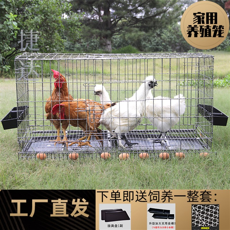 鸡笼子家用加粗大号养殖笼折叠鸭笼鹅笼狗笼自动滚蛋鸡笼厂家直发