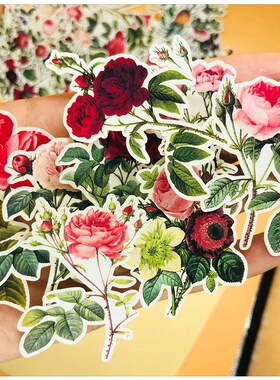 手帐贴纸包  TN复古植物花朵 160枚入 手账贴纸相册装饰 包邮