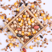 包邮 5斤装 有玉米鸽粮赛飞营养饲料鸟食信鸽观赏鸽肉鸽粮鸽子食