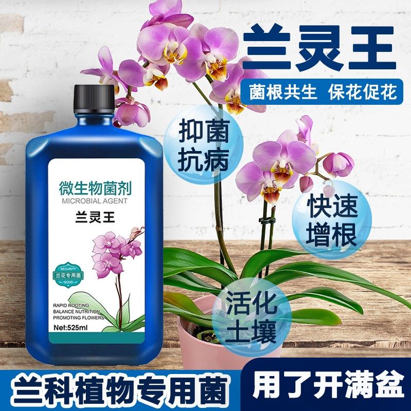 兰灵王兰科活化剂兰花专用营养液水溶性有机肥料促开花生根em菌王,鲜花速递/花卉仿真/绿植园艺,家庭园艺肥料,淘宝优惠券,粉丝福利购,淘宝优惠卷