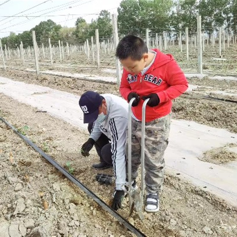 栽苗神器打孔器西瓜苗移栽机种菜工具农用烤烟种菜辣椒玉米移苗器
