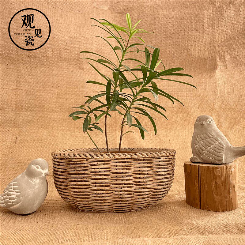 复古做旧创意椭圆简约花卉田园绿植桌面室内户外水泥花盆观见瓷