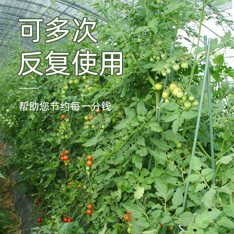 豆角爬藤架支撑杆种菜搭架包塑钢管楼顶大棚种菜丝瓜番茄爬藤杆