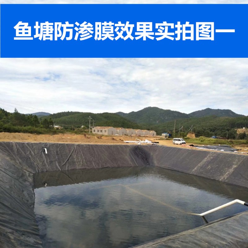 防渗膜防水膜鱼塘专用池塘养殖黑色土工膜储水膜加厚地膜防水布