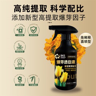 贝可施爆芽速母液多芽促芽催芽分化叶插花植物多肉绿植植物营养液