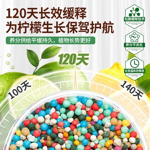 柠檬树肥料专用颗粒肥营养液缓释肥复合肥盆栽挂果结果有机肥