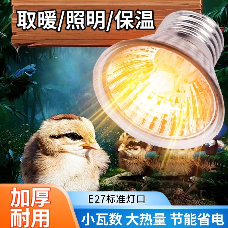 乌龟爬宠晒背灯取暖加热保温太阳灯灯泡宠物乌龟灯架芦丁鸡保温灯,宠物/宠物食品及用品,爬宠灯具,淘宝优惠券,粉丝福利购,淘宝优惠卷