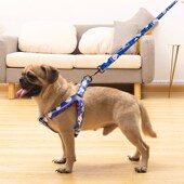 狗狗牵引绳套装 胸背带泰迪狗链子中小型犬宠物用品 遛狗神器背心式