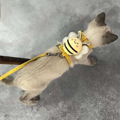 猫咪牵引绳防挣脱可爱蜜蜂背心式宠物栓外出专用遛猫神器德文缅因