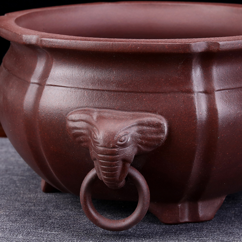 紫砂花盆盆景盆简约精品陶瓷多肉绿植兰花盆花卉大圆贴象头中国风
