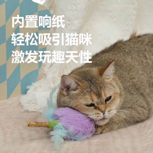PawsHolic爪迷花花木天蓼磨牙棒猫玩具自嗨解闷耐咬逗猫棒猫零食