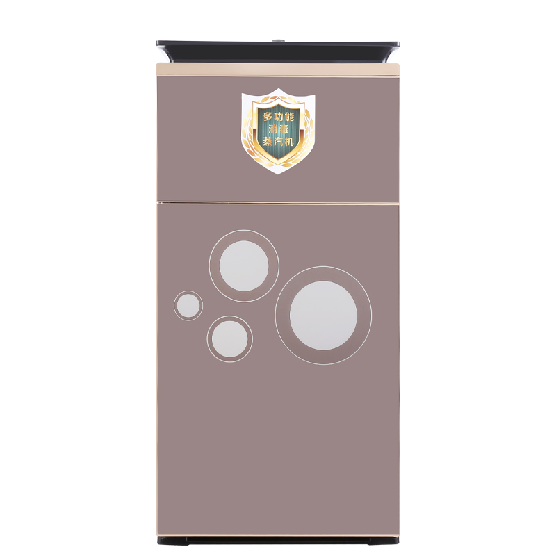 雪村碗筷高温蒸汽消毒机餐饮店碗碟筷子餐具消毒柜湿毛巾高温消毒