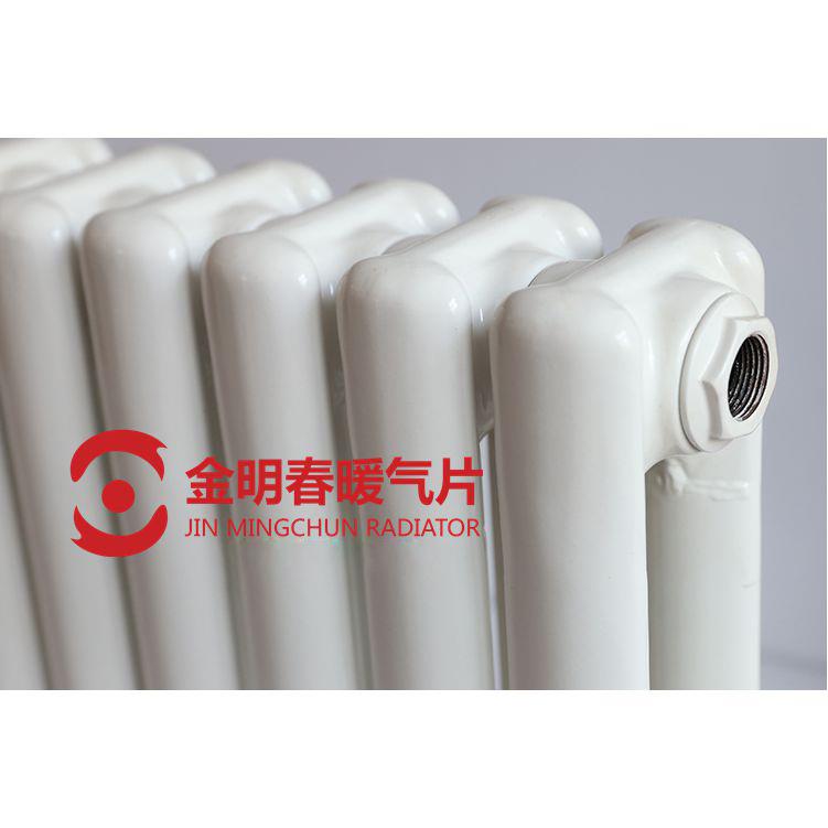 钢制弧二柱散热器现货钢制柱式水暖散热器暖气片壁挂暖气片厂家