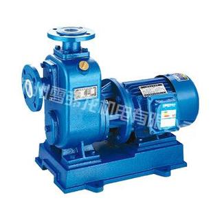 全新厂家直销 40BZ-20卧式直联式清水自吸泵/BZ直联式自吸泵