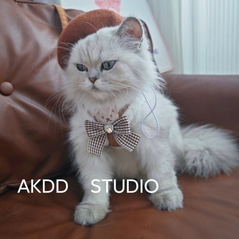 宠物猫咪狗狗牵引绳秋冬胸背带背心式防挣脱猫绳子中小型犬外出