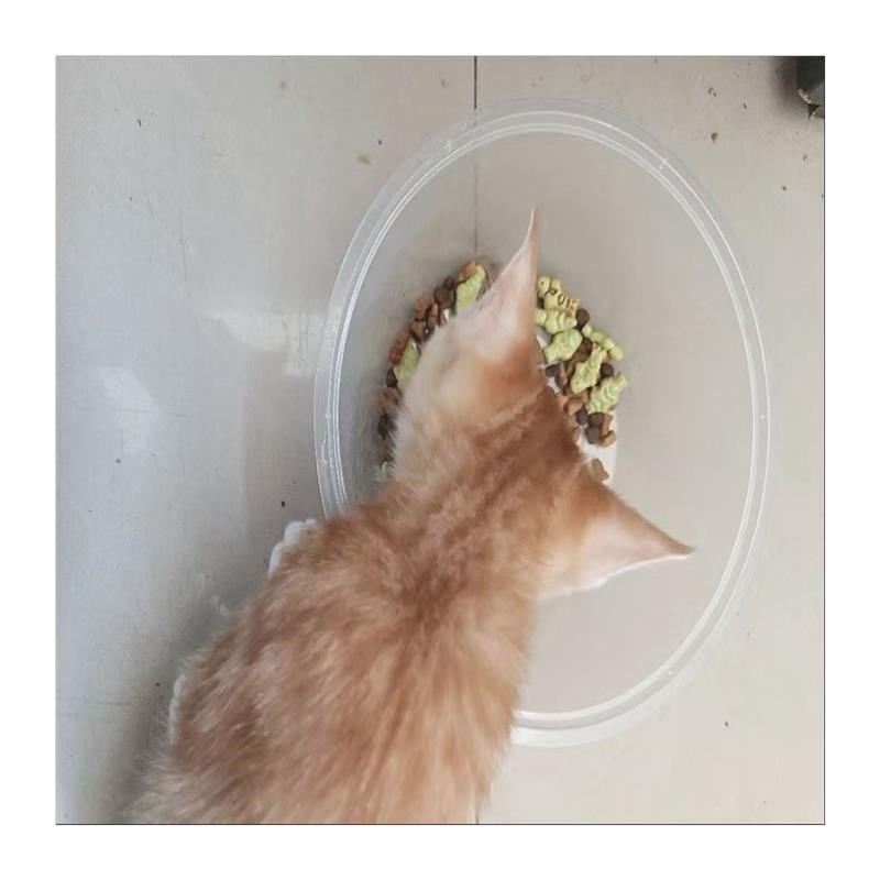 啵啵渔冻干猫咪猫粮多拼1斤5斤8拼增肥营养全价成猫幼猫布偶渐层