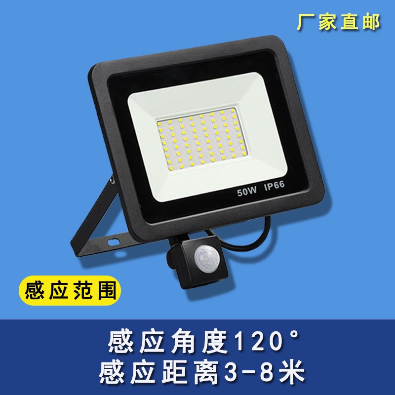 110V戶外投光燈便攜農村院子照明燈蘋果款庭院強光自動亮紅外感應