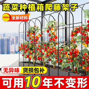 阳台蔬菜种植箱爬藤架园艺植物支撑杆黄瓜爬藤架长方形花盆葡萄架